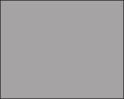 Фон паперовий BD 2,72 х 11,0м Сірий (Dark Gray) 172